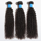BraidsQueen 10-30 Inch Kinky Curly Virgin Brazilian Hair #1B Natural Black